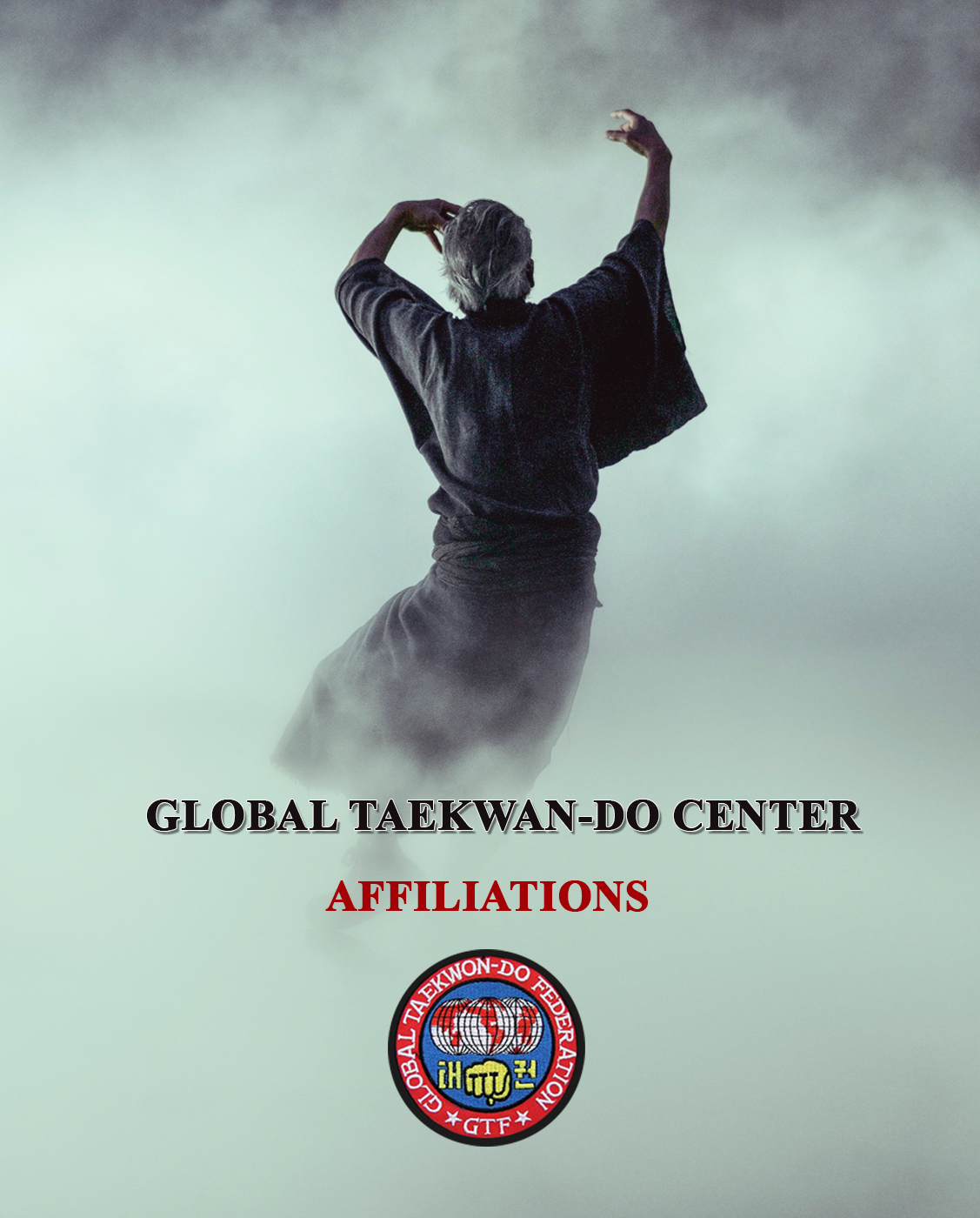 Global Taekwando Center training Classes